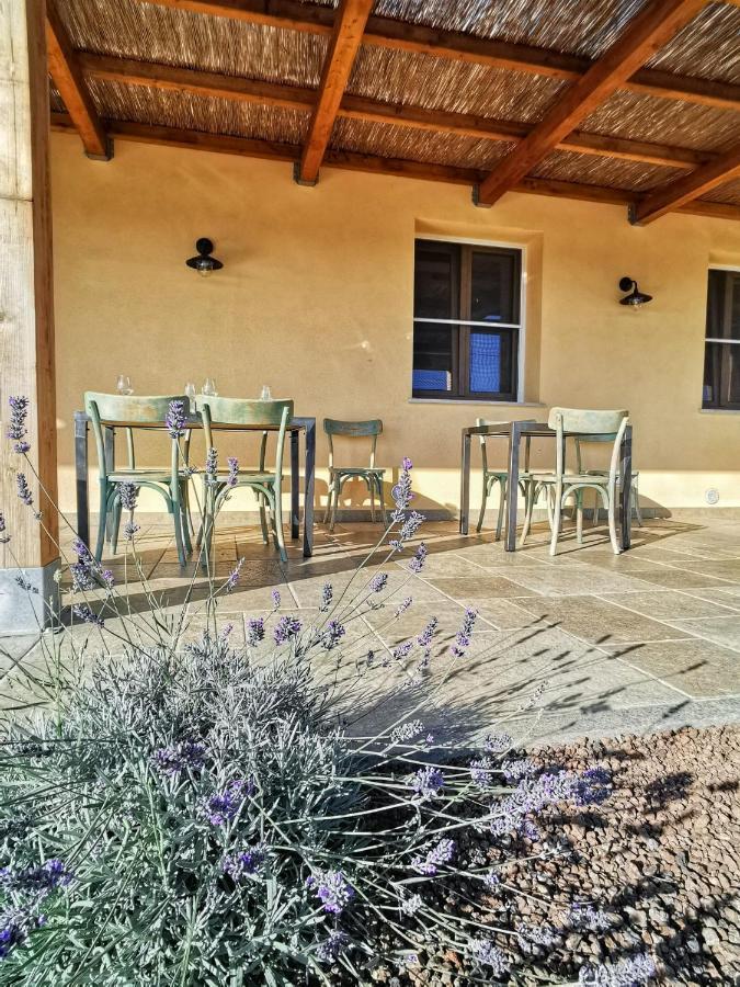 Agriturismo Casa Ricci Magliano in Toscana Ngoại thất bức ảnh