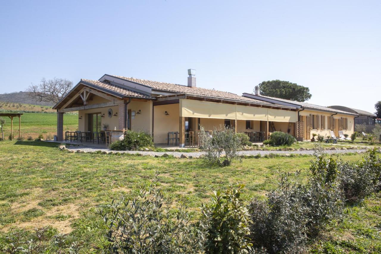 Agriturismo Casa Ricci Magliano in Toscana Ngoại thất bức ảnh
