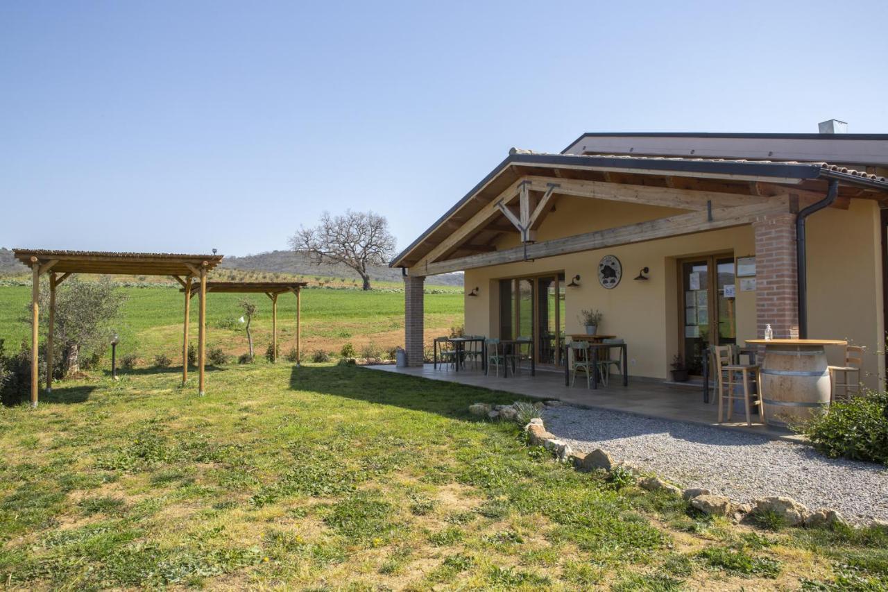 Agriturismo Casa Ricci Magliano in Toscana Ngoại thất bức ảnh