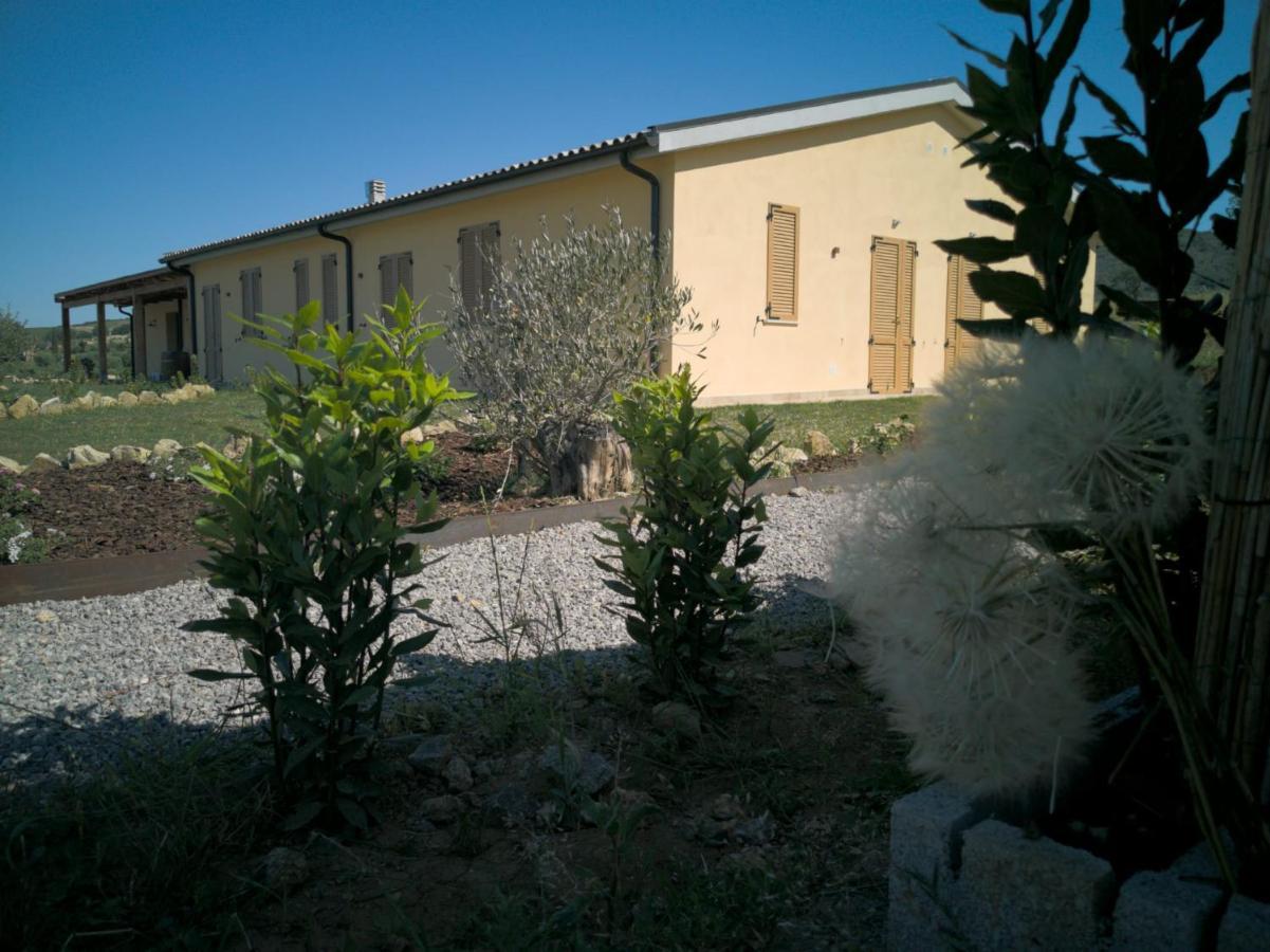 Agriturismo Casa Ricci Magliano in Toscana Ngoại thất bức ảnh