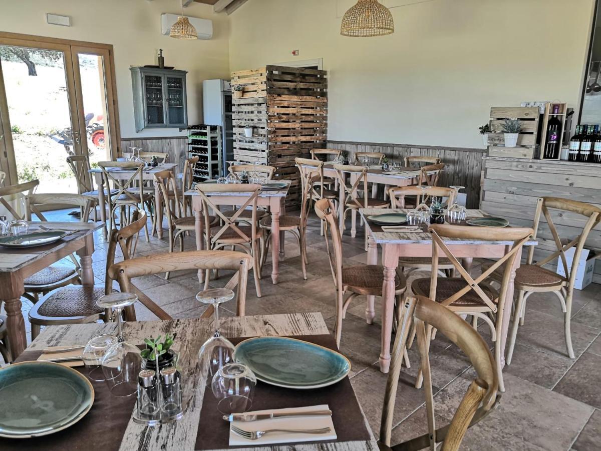 Agriturismo Casa Ricci Magliano in Toscana Ngoại thất bức ảnh